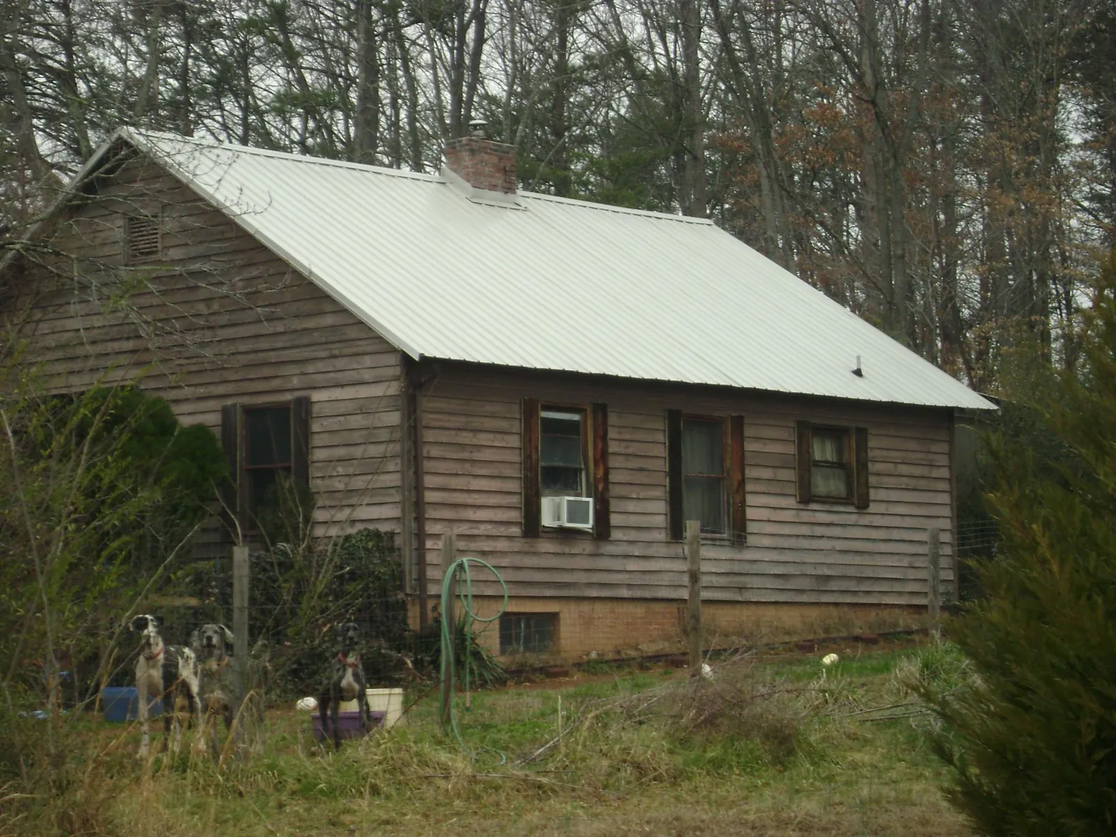 White metal roof on an old wood sided farmhouse, from a Asphalt Shingle Roof Repair job in North Bonneville